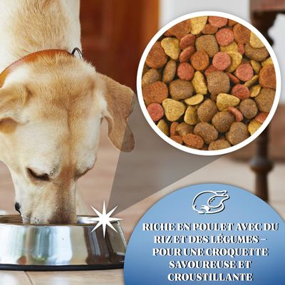 Croquettes chien adulte toutes races – Gilpa Super Mix