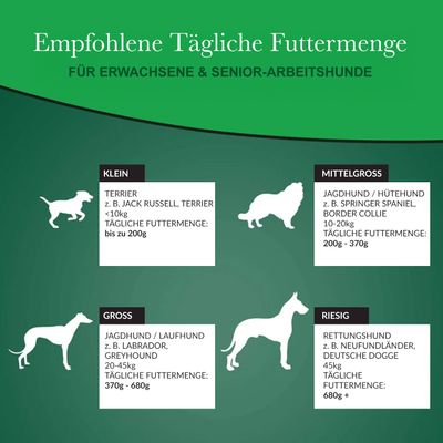 Arkwrights Hundefutter mit Huhn für ausgewachsene Hunde