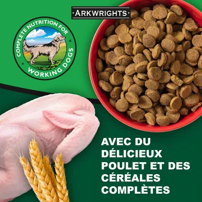 Croquettes chien adulte – Arkwrights Poulet