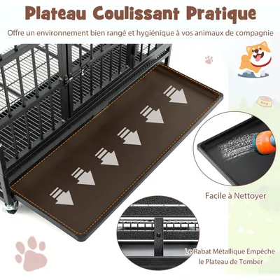 GIANTEX Cage pour Chien Pliable en Métal avec Roues Verrouillables