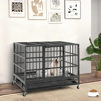 GIANTEX Cage pour Chien Pliable en Métal avec Roues Verrouillables