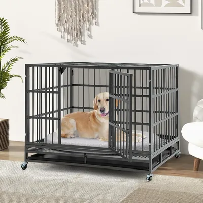 GIANTEX Cage pour Chien Pliable en Métal avec Roues Verrouillables GIANTEX Cage pour Chien Pliable en Métal avec Roues Verrouillables