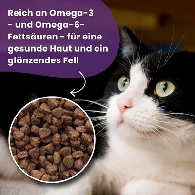 Gilpa Umami Trockenfutter für ausgewachsene Katzen aller Rassen – 2 x 15 kg