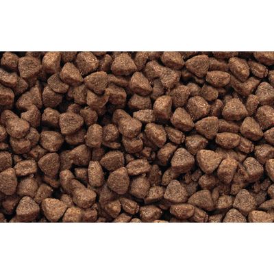 Croquettes chat adulte toutes races – Gilpa Umami