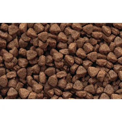 Croquettes chat adulte toutes races – Gilpa Umami