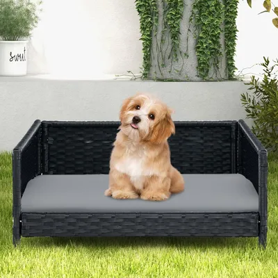 GIANTEX Panier pour Chien en Rotin avec Coussin, Coussin Amovible