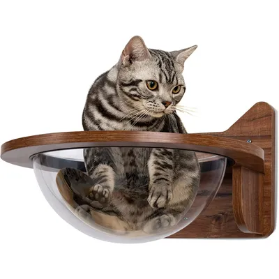 GIANTEX Capsule Murale pour Chat, Arbre à Chat Murale en Bois Solide