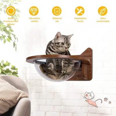 GIANTEX Capsule Murale pour Chat, Arbre à Chat Murale en Bois Solide