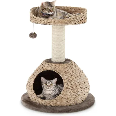 GIANTEX Arbre à Chat 72 CM avec Plateforme, Niche, Poteaux et Coussin