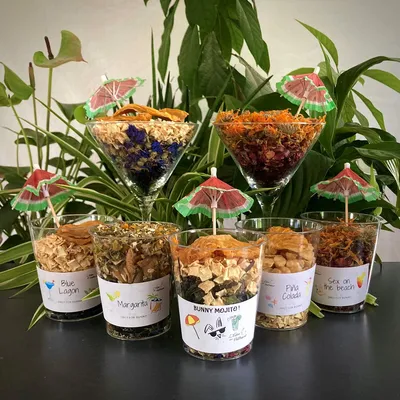 L'Eden des Pattounes - Cocktail - Lot de 5 cocktails L'Eden des Pattounes - Cocktail - Lot de 5 cocktails