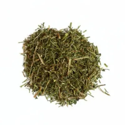 L'Eden des Pattounes - Persil L'Eden des Pattounes - Persil