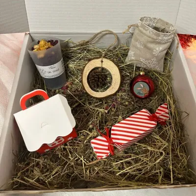 L'Eden des Pattounes - Box Premium Noël (Edition limitée)