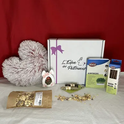 L'Eden des Pattounes - Box de rentrée L'Eden des Pattounes - Box de rentrée