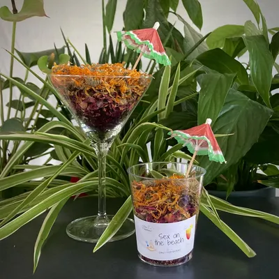 L'Eden des Pattounes - Cocktail - Sex on the beach L'Eden des Pattounes - Cocktail - Sex on the beach