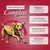 Arkwrights Beef mit Rind für ausgewachsene Hunde – 15 kg Arkwrights Beef mit Rind für ausgewachsene Hunde – 15 kg