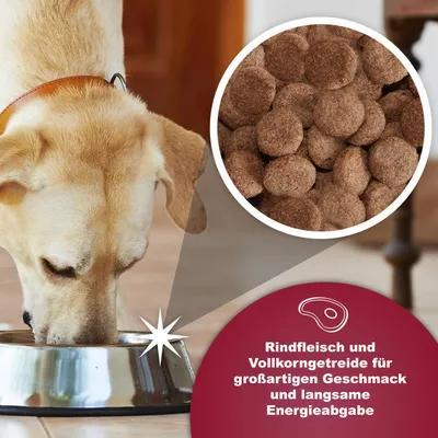 Arkwrights Beef mit Rind für ausgewachsene Hunde – 15 kg Arkwrights Beef mit Rind für ausgewachsene Hunde – 15 kg