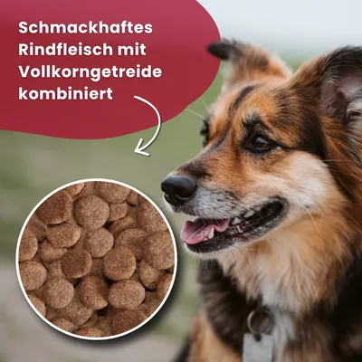 Arkwrights Beef mit Rind für ausgewachsene Hunde – 15 kg Arkwrights Beef mit Rind für ausgewachsene Hunde – 15 kg