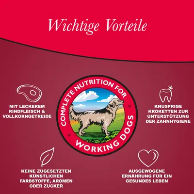 Arkwrights Beef mit Rind für ausgewachsene Hunde – 15 kg Arkwrights Beef mit Rind für ausgewachsene Hunde – 15 kg