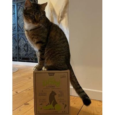 Eizhy - Litière Végétale et Compostable Litzhy à base de Landes Bretonnes