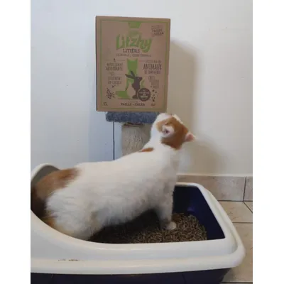 Eizhy - Litière Végétale et Compostable Litzhy à base de Paille de Colza