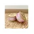 Petty Well - Pâtées au Saumon pour Chat Petty Well - Pâtées au Saumon pour Chat