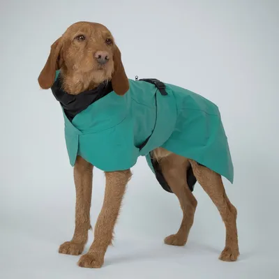 PAIKKA Imperméable Visibility