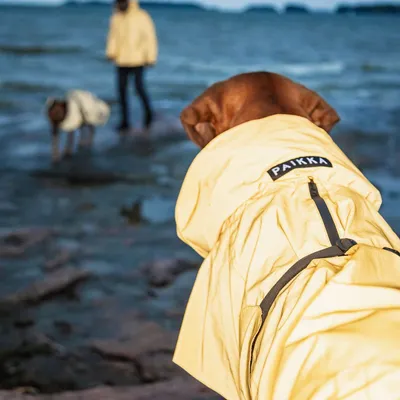 PAIKKA Imperméable Visibility Lite