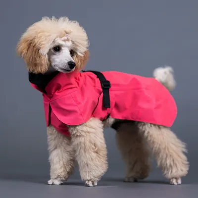 PAIKKA Imperméable Visibility Lite
