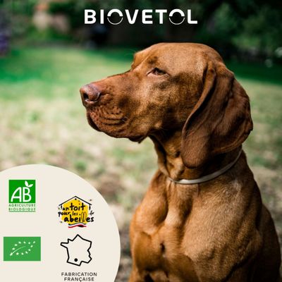 Biovetol - Vermifuge Bio en Poudre pour Grand Chien