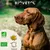 Biovetol - Vermifuge Bio en Poudre pour Grand Chien