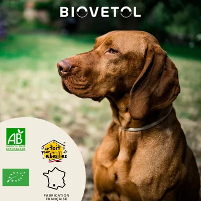 Biovetol - Vermifuge Bio en Poudre pour Grand Chien