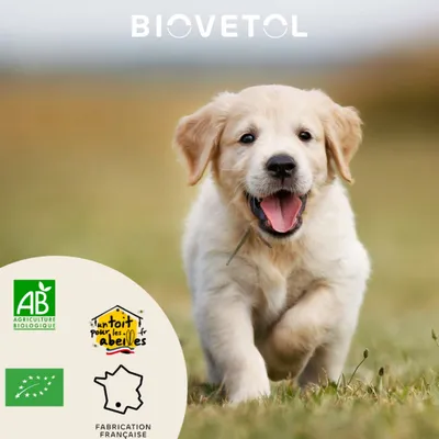 Biovetol - Vermifuge Bio en Poudre pour Petit Chien et Chiot