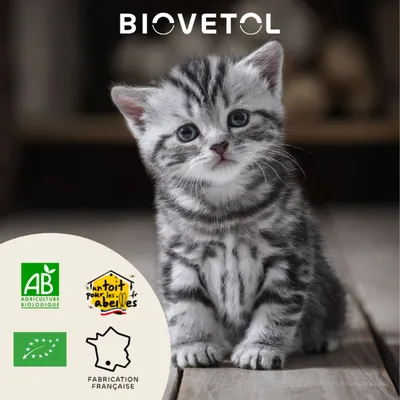 Biovetol - Vermifuge Bio en Poudre pour Petit Chat et Chaton