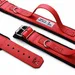 BESTIA DOG SPORT HALSBAND MIT GRIFF ALLES ROT