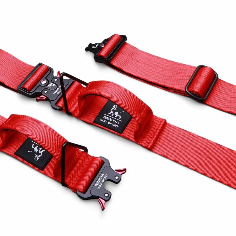 Bestia Hundesport GripPro Griffhalsband