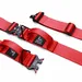 Bestia Hundesport GripPro Griffhalsband