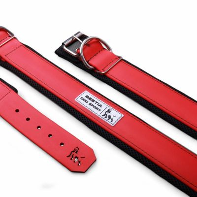 BEAST COLLIER SPORT CHIEN ROUGE