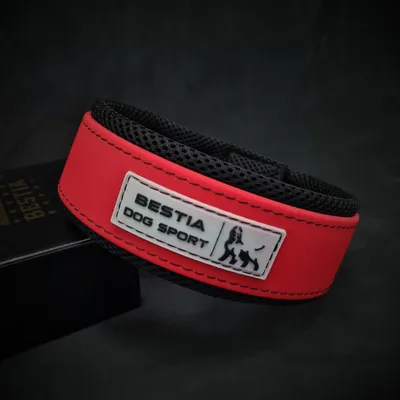 BESTIA DOG SPORT HALSBAND