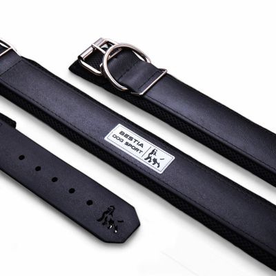COLLIER DE SPORT DE CHIEN DE BÊTE