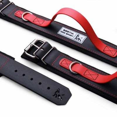 BEAST CHIEN SPORT COLLIER POIGNÉE ROUGE