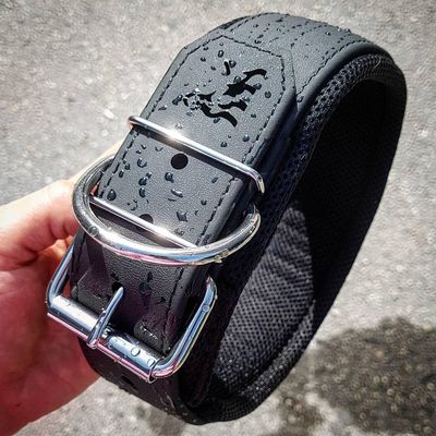 Bestia Dog Sport Hundehalsband