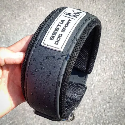 COLLIER DE SPORT DE CHIEN DE BÊTE