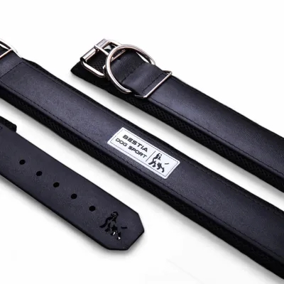 COLLIER DE SPORT DE CHIEN DE BÊTE