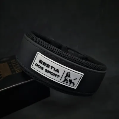 COLLIER DE SPORT DE CHIEN DE BÊTE