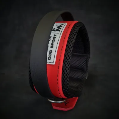 BESTIA Hundehalsband mit Sportgriff, Rot