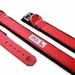 Collier de sport pour chien Bestia Rouge