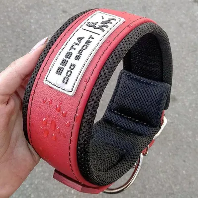 BESTIA DOG SPORT HALSBAND