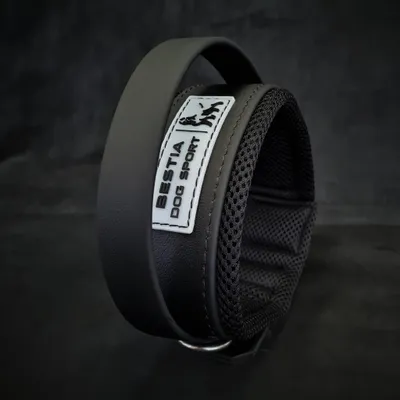 BESTIA CHIEN SPORT POIGNÉE COLLIER