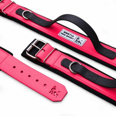 BEAST CHIEN SPORT POIGNÉE COLLIER NEON ROSE