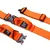 Bestia Hundesport GripPro Griffhalsband Bestia Hundesport GripPro Griffhalsband